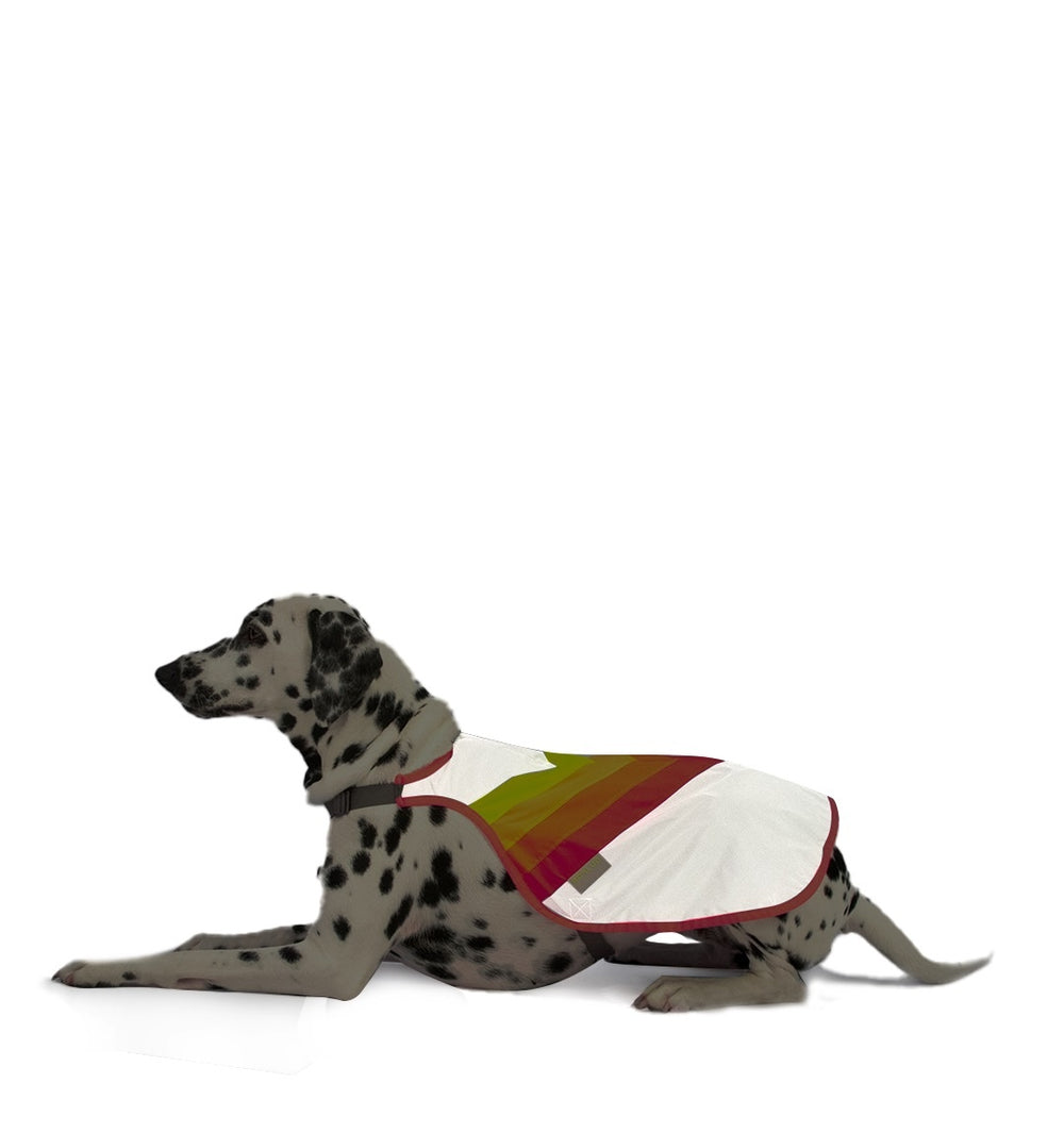 GoFluo Dog Vest – Luna