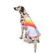 GoFluo Dog Vest – Luna