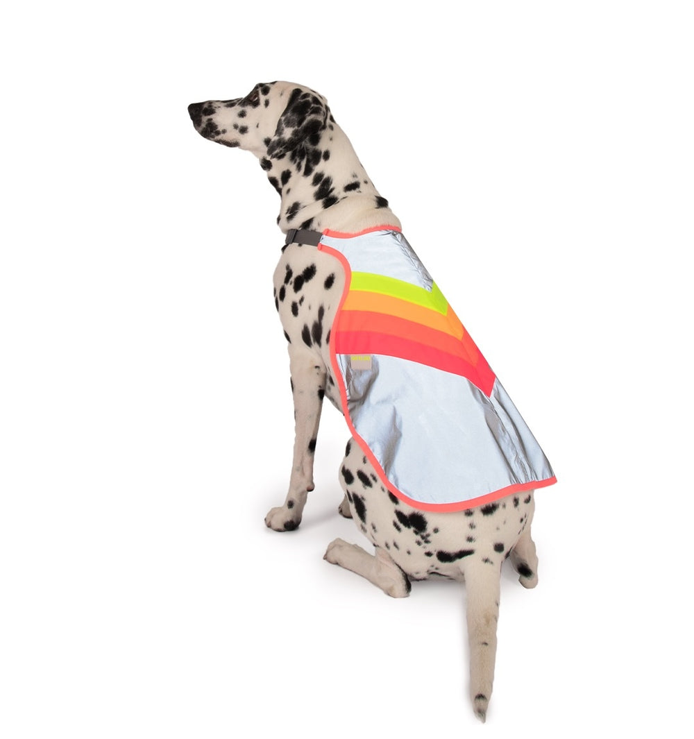 GoFluo Dog Vest – Luna