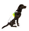 GoFluo Dog Vest – Moonlight