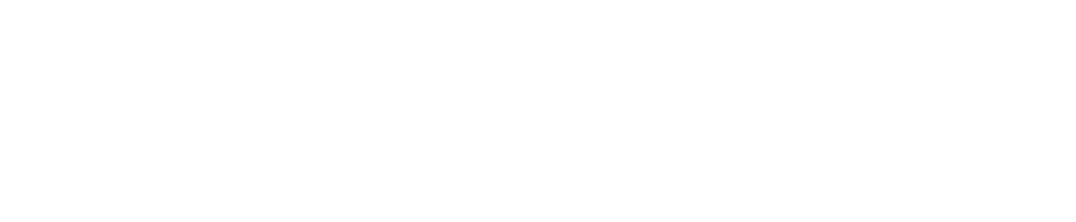 Logo Seatylock blanc