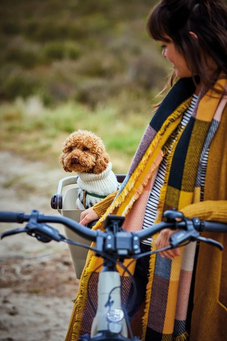 Buddy Basil Protective Grille – Dome Steel Space Frame