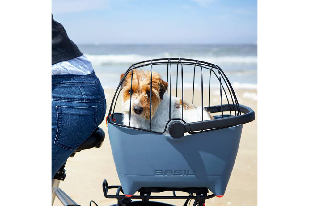 Buddy Basil Protective Grille – Dome Steel Space Frame