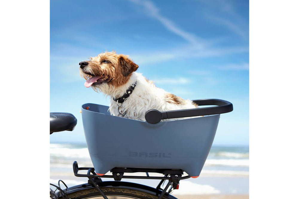 Buddy Basil Protective Grille – Dome Steel Space Frame