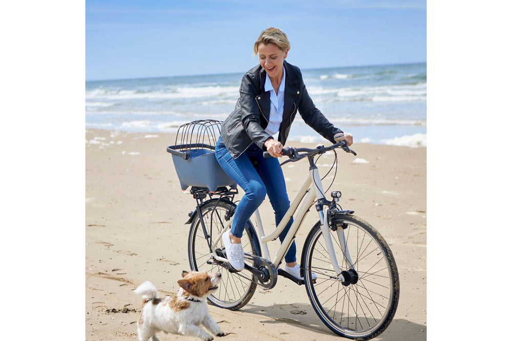 Buddy Basil Protective Grille – Dome Steel Space Frame