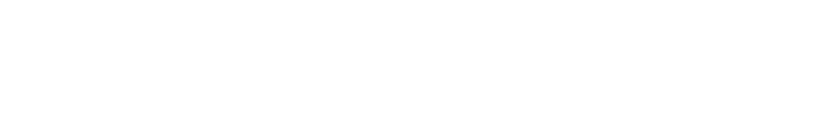 Logo Polisport blanc